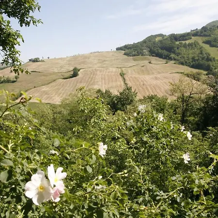 Bed & Breakfast Ca Del Bu Pecorara